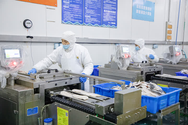 開辟綠色生命通道，海安中洋集團200噸水產食品馳援上海保供穩鏈